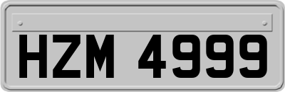 HZM4999