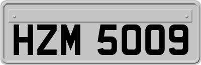 HZM5009