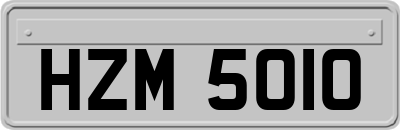 HZM5010