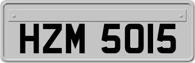 HZM5015