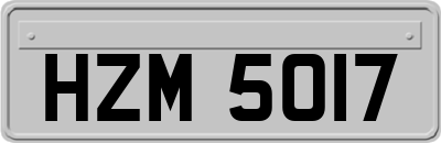 HZM5017