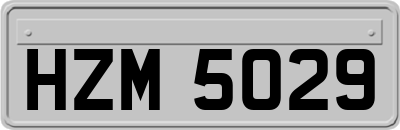 HZM5029