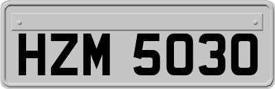 HZM5030