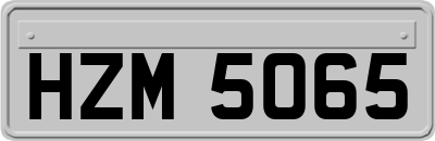 HZM5065
