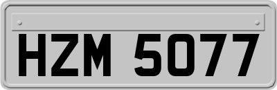 HZM5077