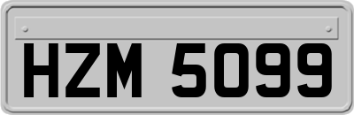 HZM5099