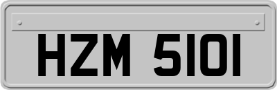 HZM5101