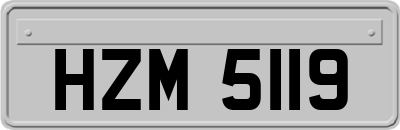 HZM5119