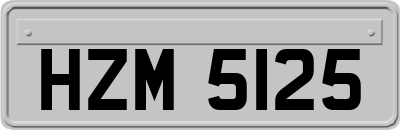 HZM5125