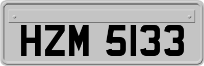 HZM5133