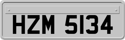 HZM5134