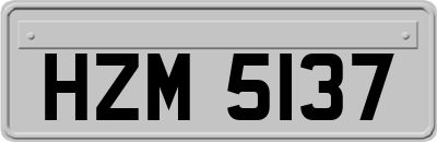 HZM5137