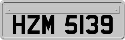 HZM5139
