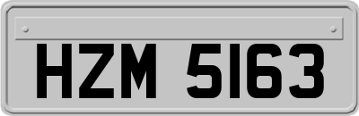 HZM5163