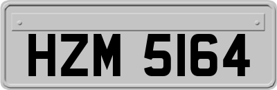 HZM5164