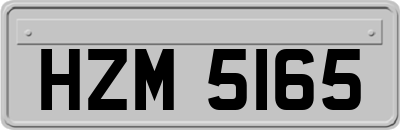 HZM5165
