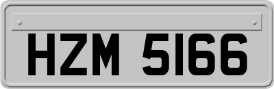 HZM5166