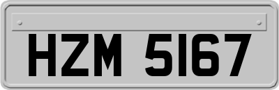 HZM5167