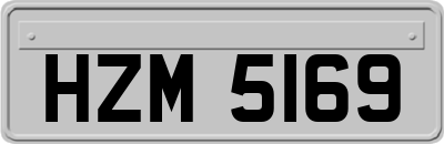 HZM5169