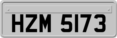 HZM5173