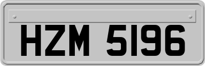 HZM5196