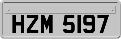 HZM5197