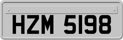 HZM5198