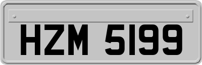 HZM5199