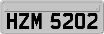 HZM5202