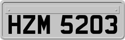 HZM5203