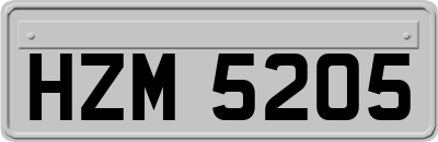 HZM5205
