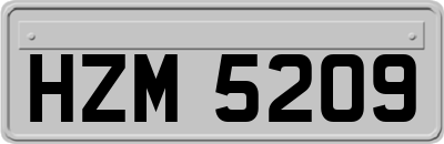 HZM5209