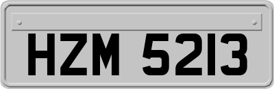 HZM5213