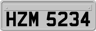 HZM5234