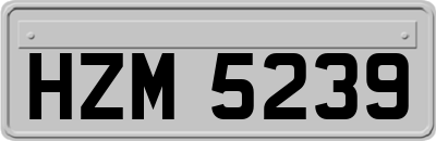HZM5239