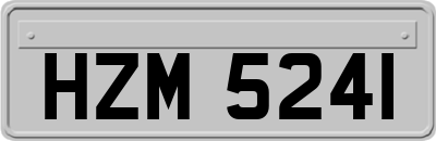 HZM5241