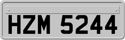 HZM5244