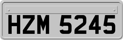 HZM5245