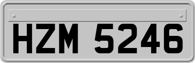 HZM5246