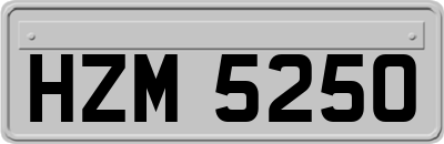 HZM5250