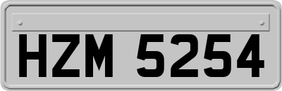 HZM5254