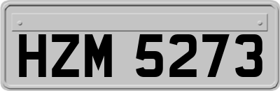 HZM5273