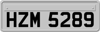 HZM5289