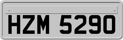 HZM5290