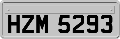 HZM5293