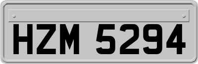 HZM5294