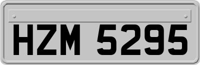 HZM5295