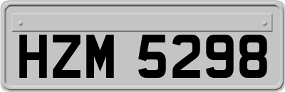 HZM5298