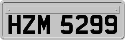 HZM5299