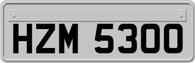 HZM5300